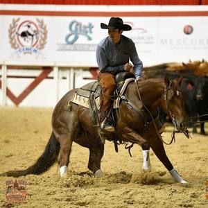 Meet your Posher, Jake